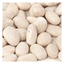 Navy Beans/ Great Northern Beans