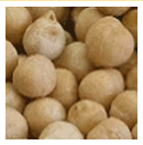 B90/ Spec Chickpeas