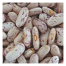 Light Speckled Kindey