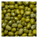 Mung Beans