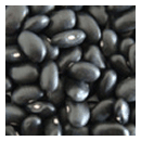 Black Kindey Bean