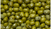 Green Mung Beans Green Mung Beans
