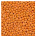 Red Lentils