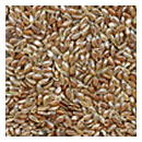 Flaxseed