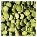 Split Green Peas